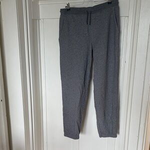 Patagonia Men's Gray Sweatpants Joggers